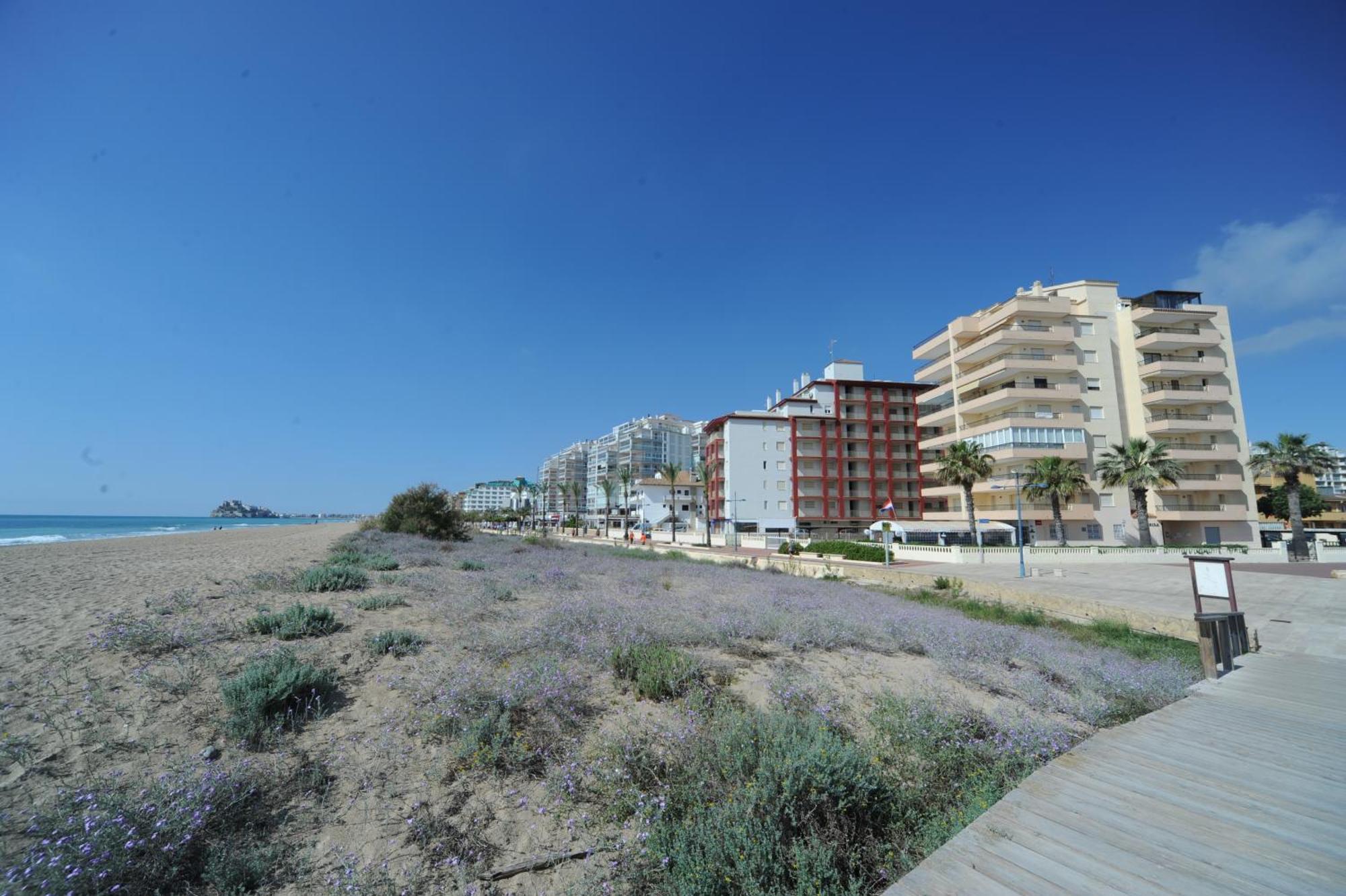 Apartamento Marina Vistamar Orangecosta Peñíscola Exterior foto